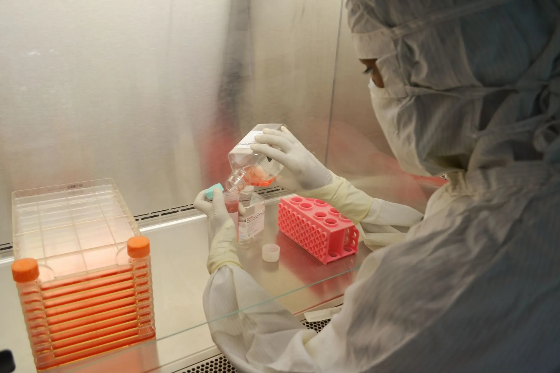 Why MSC potency matters more than cell count